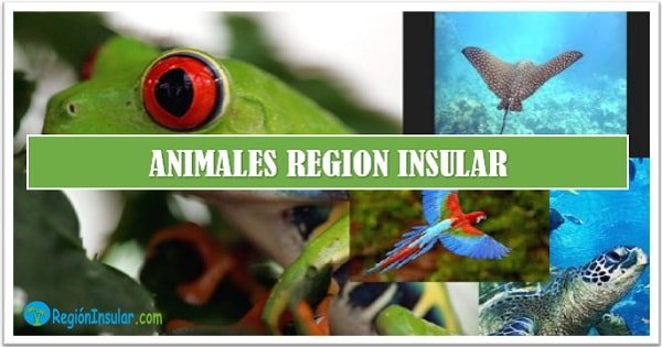 Fauna y flora de la Región Insular