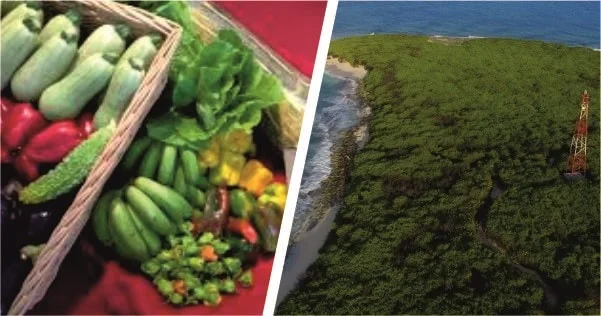 productos de la agricultura de la region insular