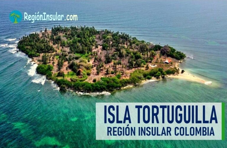 ubicacion de la isla tortuguilla