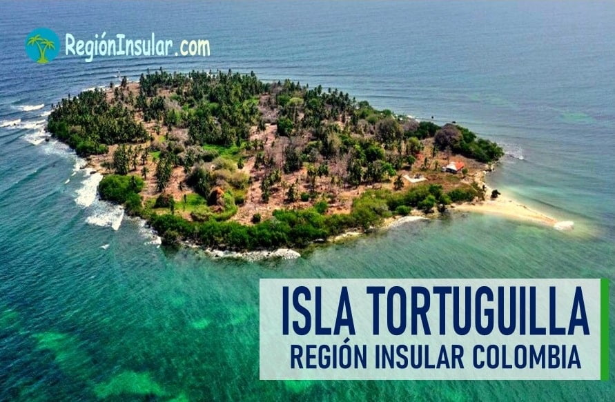 ubicacion de la isla tortuguilla