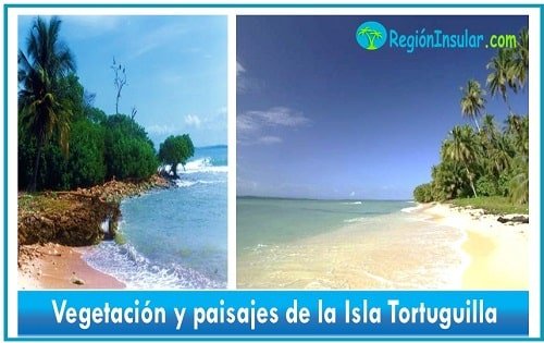 Isla Tortuguilla