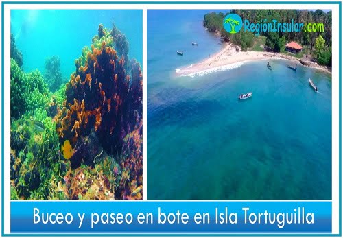 que hacer en isla tortuguilla