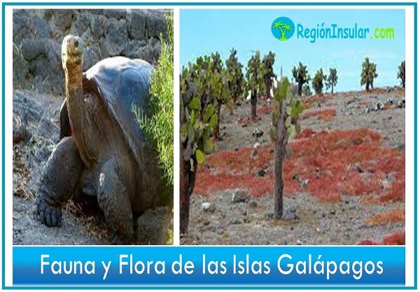 Fauna y Flora de Galapagos